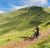 Wales – incl transport to the UK and Bikepark Wales Visit
